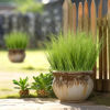 Picture of Artificial Grass Plant Faux Onion Grass Shrubs Wheat Grass Greenery Stems for Home Decor, Fake Tall Grass Plant for Outdoor Indoor Decor