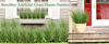 Picture of Artificial Grass Plant Faux Onion Grass Shrubs Wheat Grass Greenery Stems for Home Decor, Fake Tall Grass Plant for Outdoor Indoor Decor